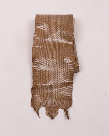 Vintage Reptile Skin with Scale Pattern