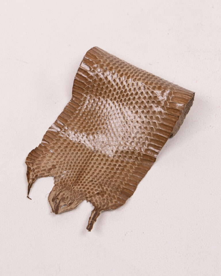 Vintage Snakeskin Skin Piece for Crafts