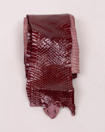 Reptile Skin with Scaled Texture