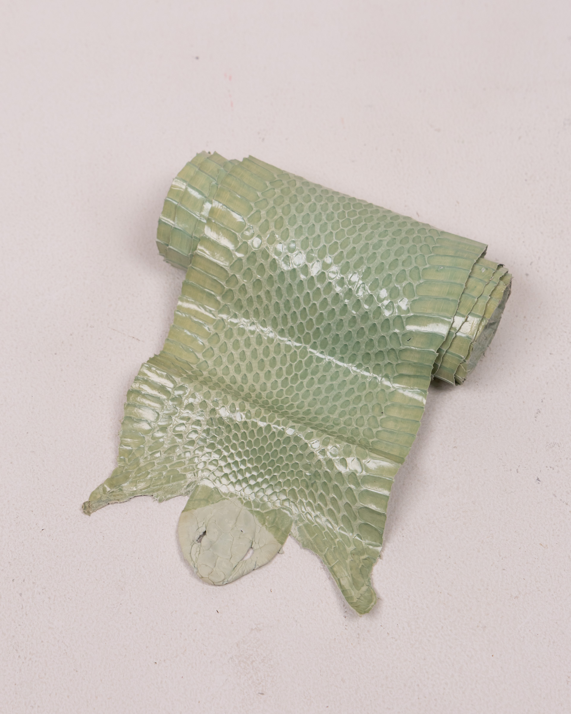 Reptile Snakeskin with Green & White Scale Pattern