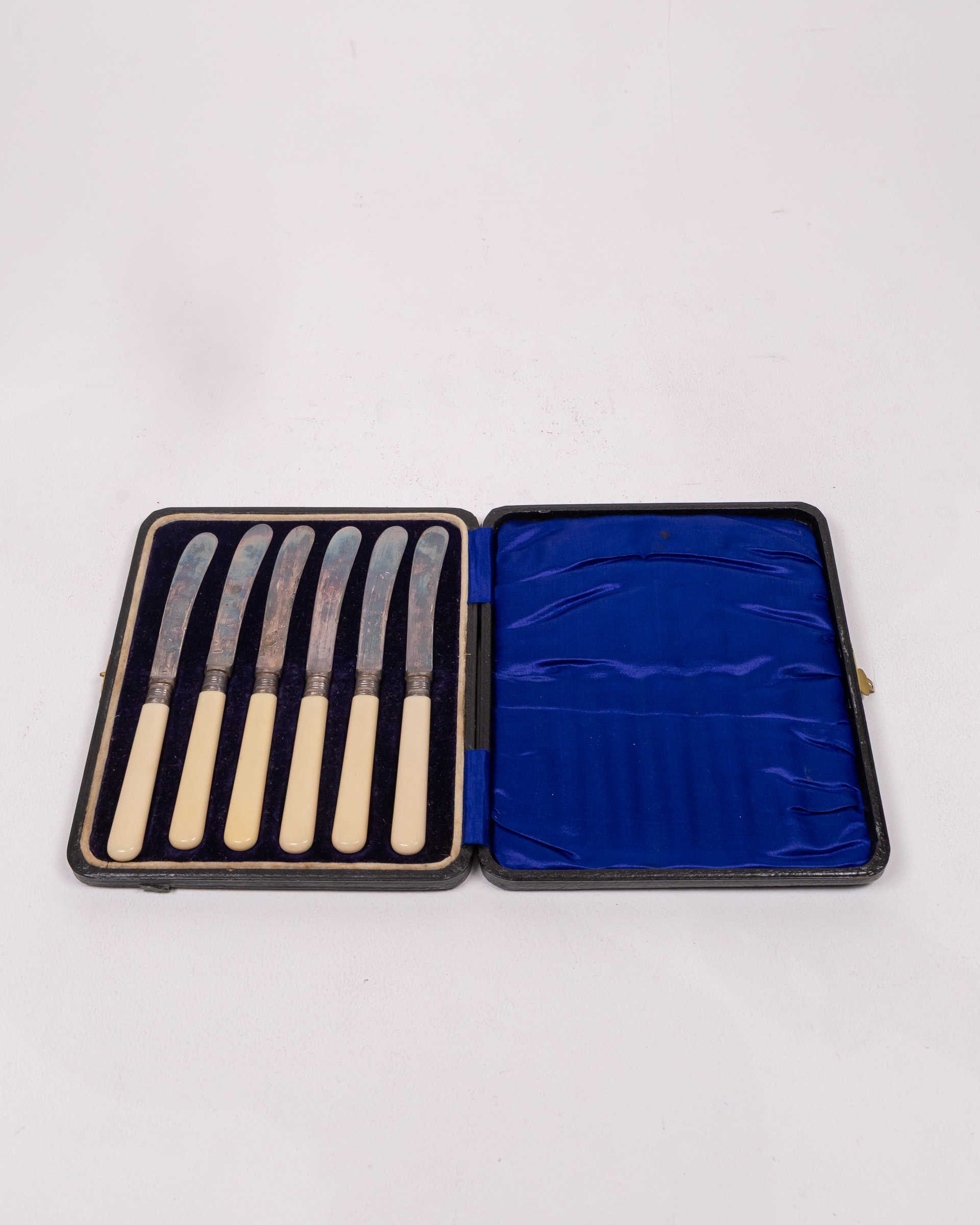 Vintage Silver Plated Butter Knives with Case