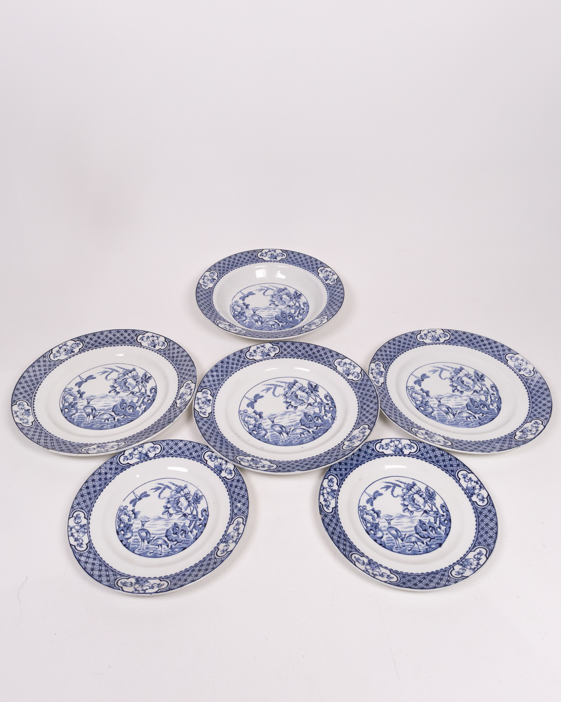 Britannia Pottery Plates Set with Scenic Design