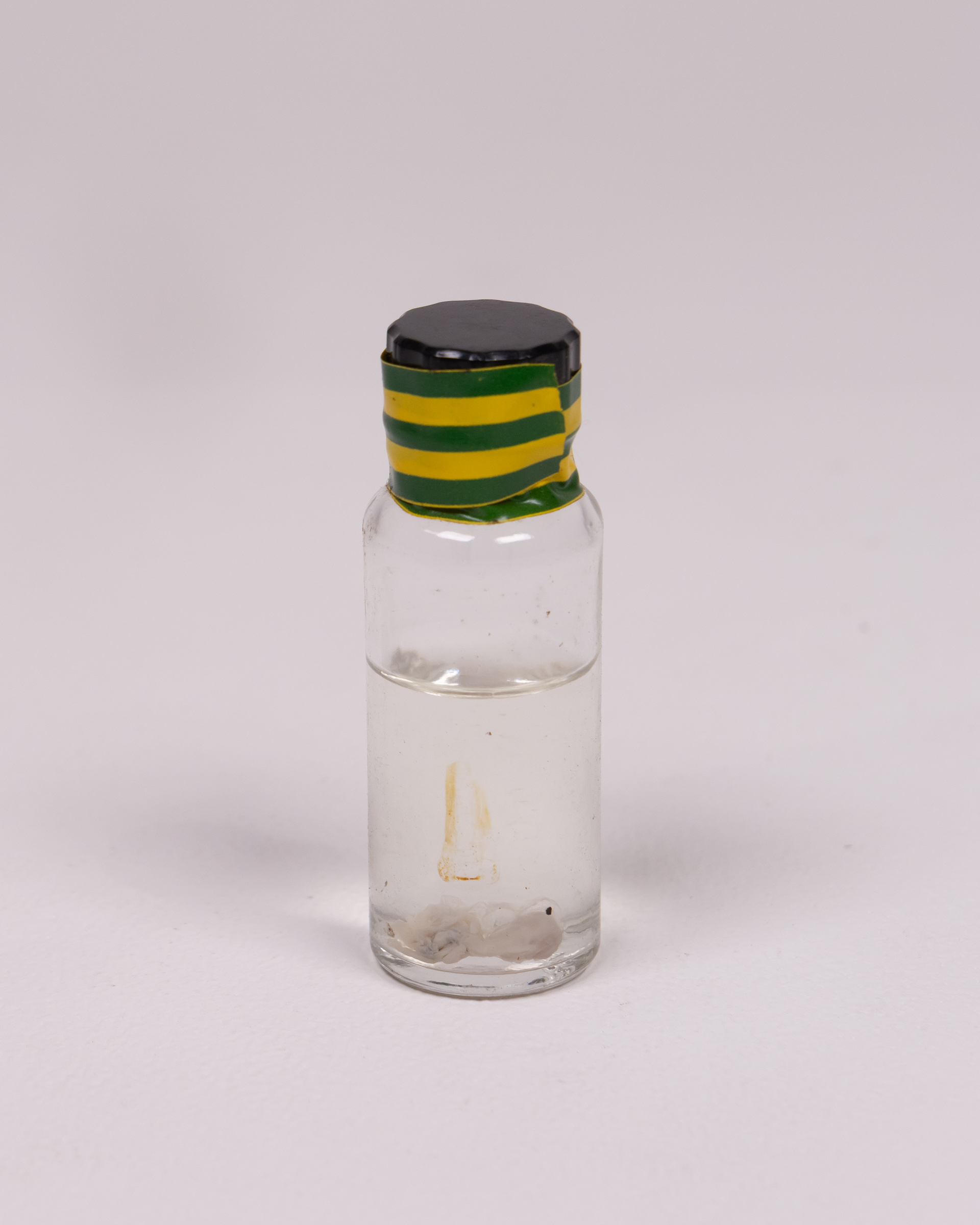 Vintage Glass Bottle with foetus