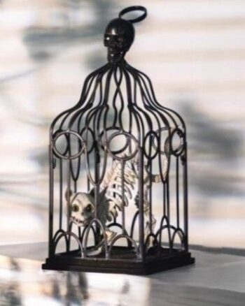 Metal Skull Birdcage with Cat Skeleton Halloween Decoration