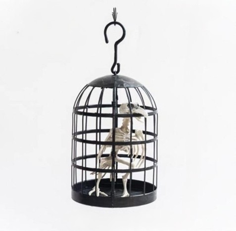 Black Metal Halloween Bird Cage with Bird Skeleton