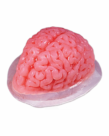 Novelty Brain Jelly Mould