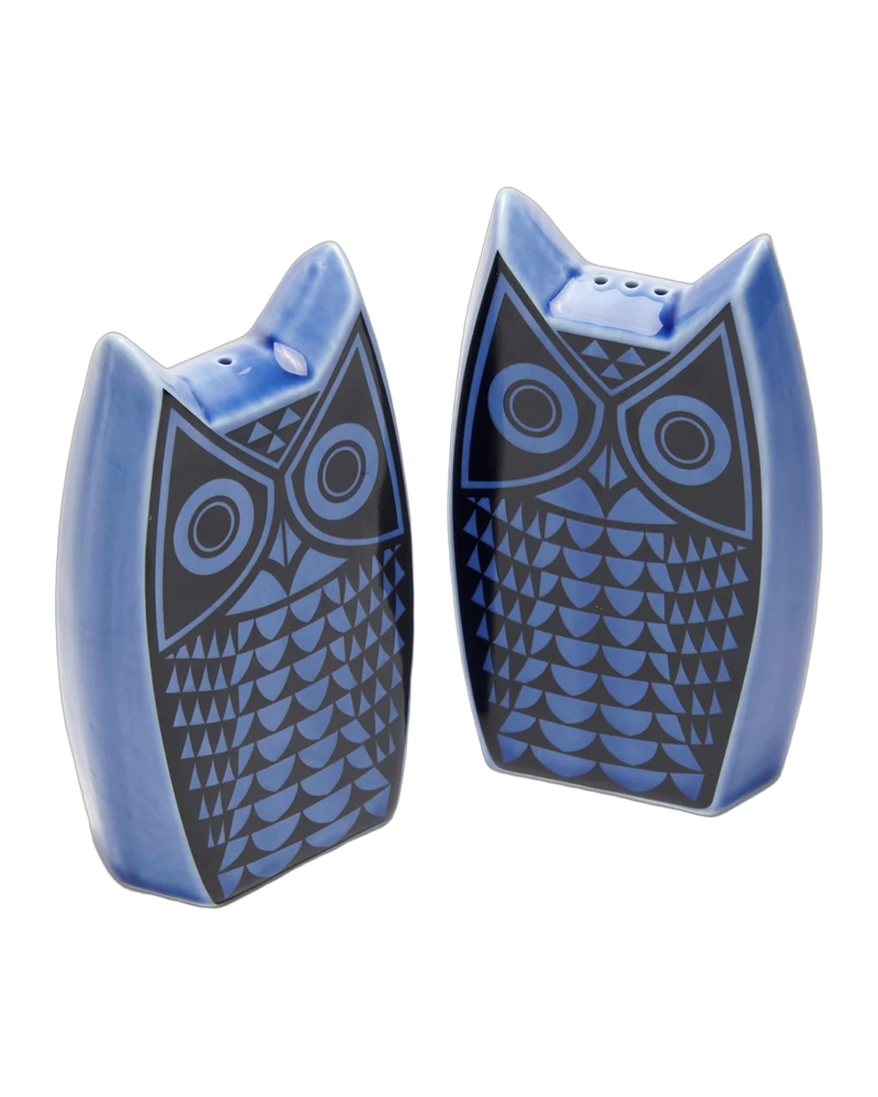 Hornsea Cruet Set – Owl Blue