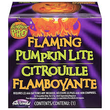 Fun World Flaming Pumpkin Lite Halloween Decoration