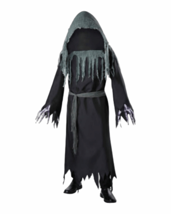 Shrouded Phantom Adult Costume (M)