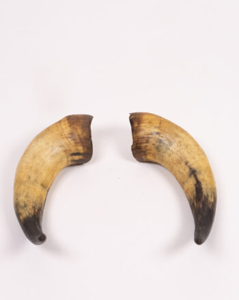 Vintage Natural Horns
