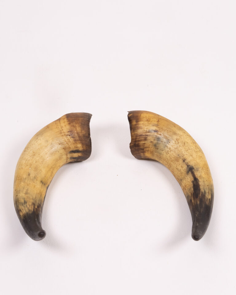 Vintage Natural Horns