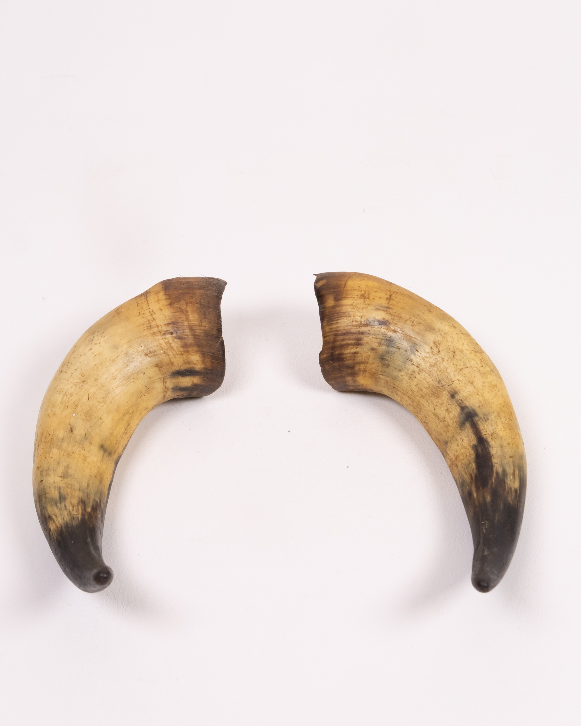 Vintage Natural Horns