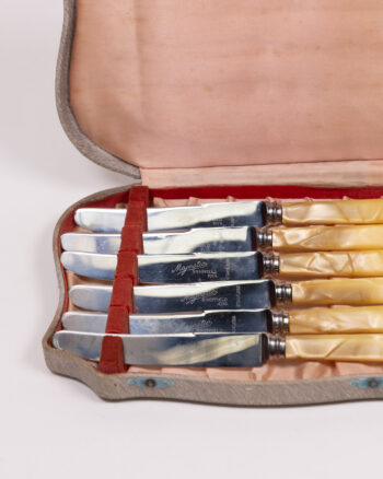 Vintage Majestic Sheffield Silver Plated Knives with Case