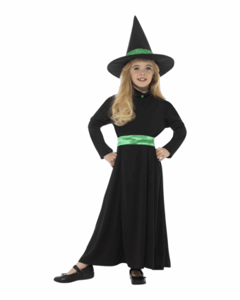 Wicked Witch Halloween Costume