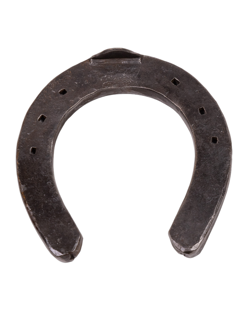 Dalriada Forge Black Metal Horseshoe