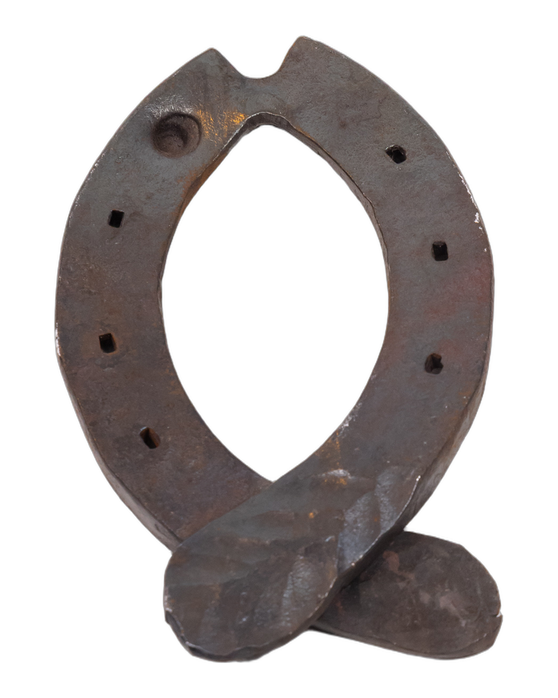 Dalriada Forge Steel Horseshoe Fish with Hand-Forged Design