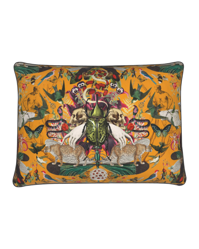 Divine Curio – Luxury Velvet Cushion 50x35cm