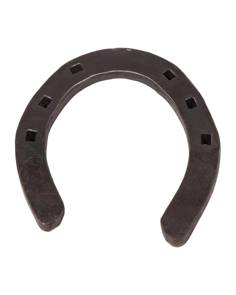 Metal Horseshoe with Nail Slots