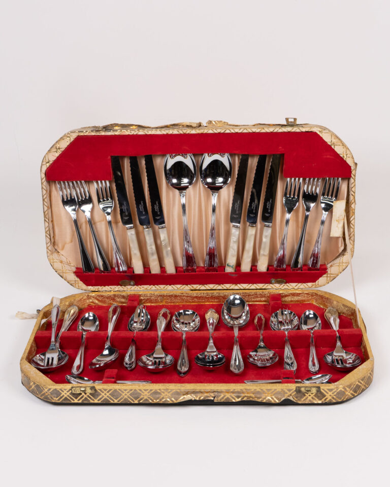 Vintage Stainless Steel Cased Cutlery Set with Handles