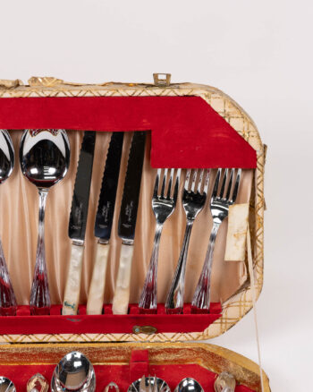 Vintage Stainless Steel Cased Cutlery Set with Handles