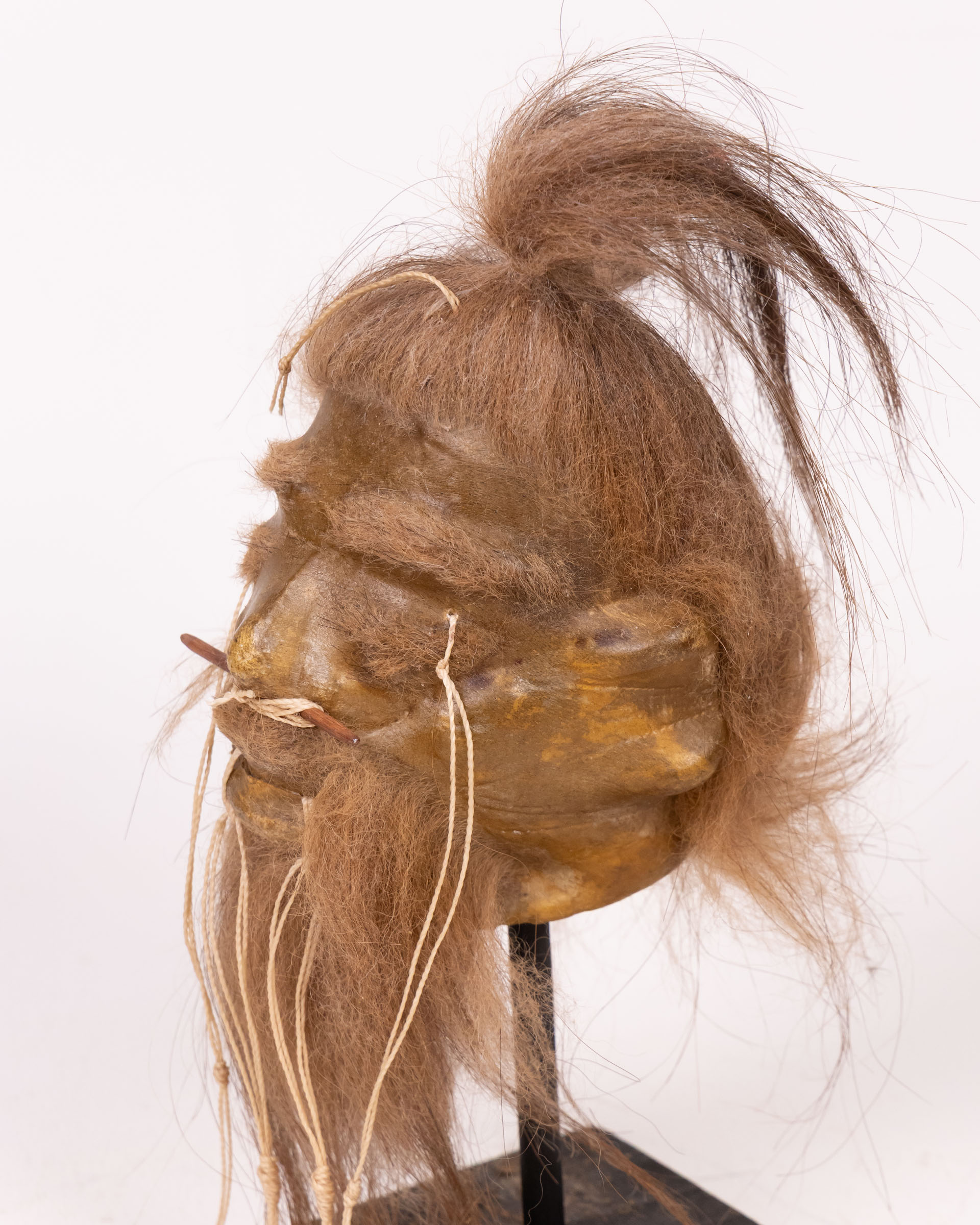 Macabre Shrunken Head Replica with Hair Detail - Image 3