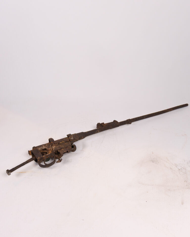 Rifle remains from Somme Battlefield