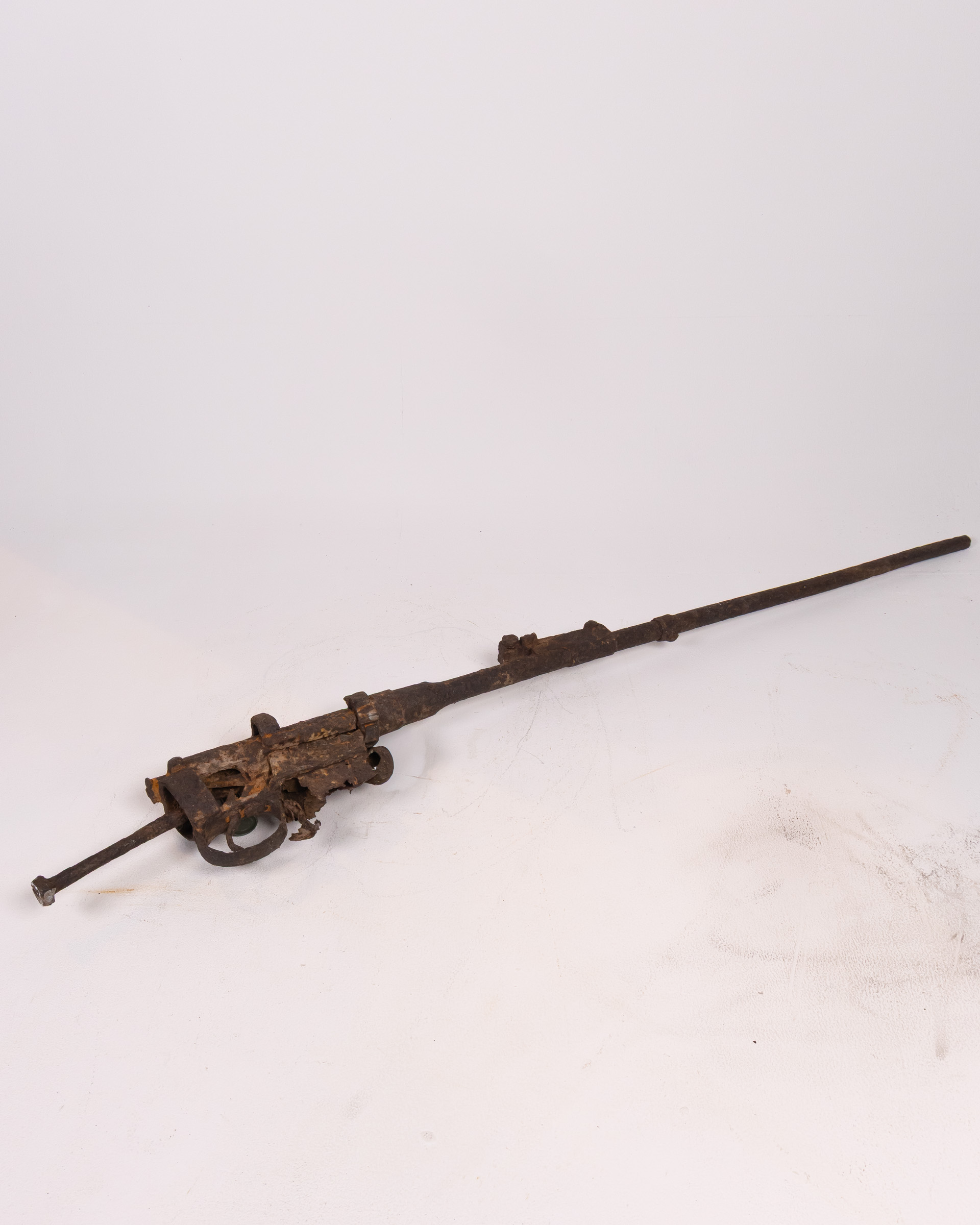 Rifle remains from Somme Battlefield