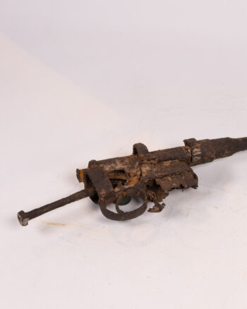 Rifle remains from Somme Battlefield