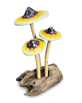 Naturale Wooden Mushroom Sculpture with Painted Detail