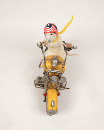Taxidermy White Mouse on Motorcycle Figurine with Helmet