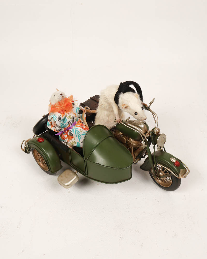 Taxidermy Mouse on Motorcycle Sidecar