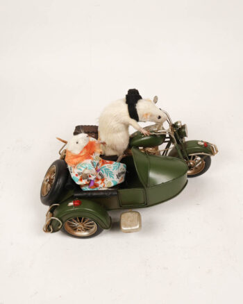 Taxidermy Mouse on Motorcycle Sidecar