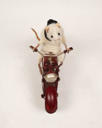 Taxidermy Mouse on Metal Motorcycle with Scarf
