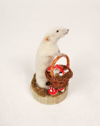 Taxidermy Mouse with Basket and Mushrooms