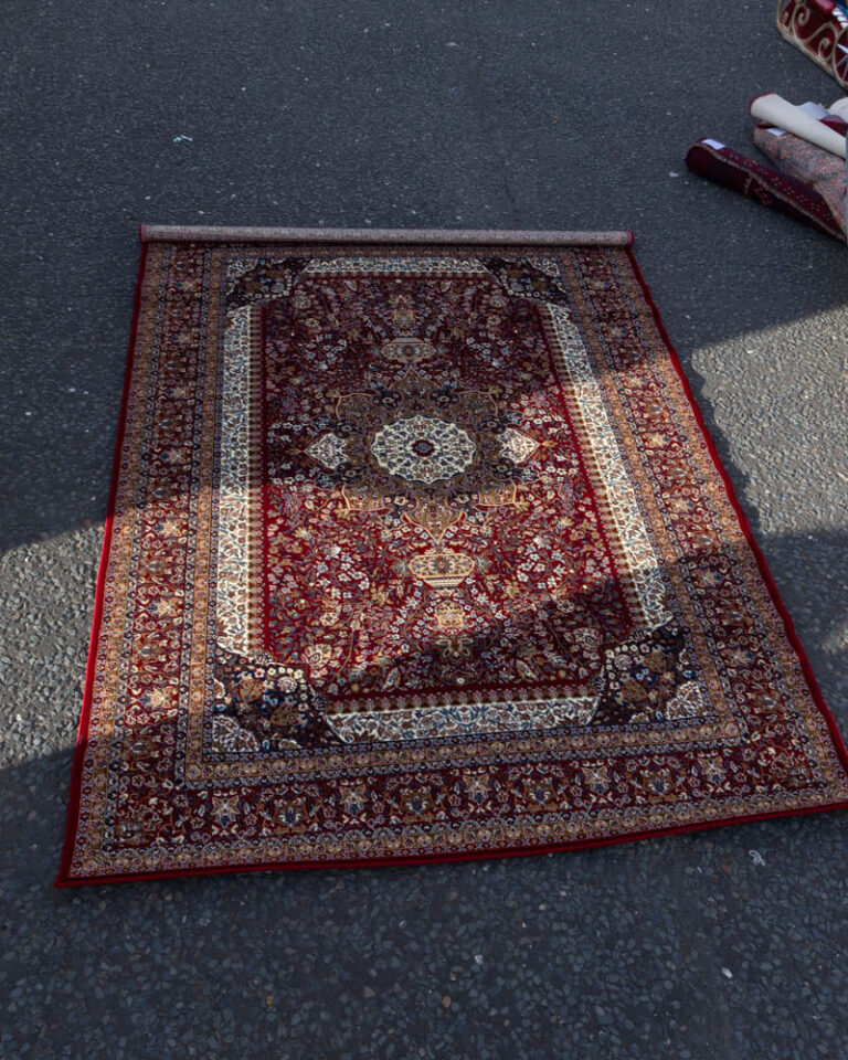 Persian Style Patterned Rug with Fringed Border - ZZ02