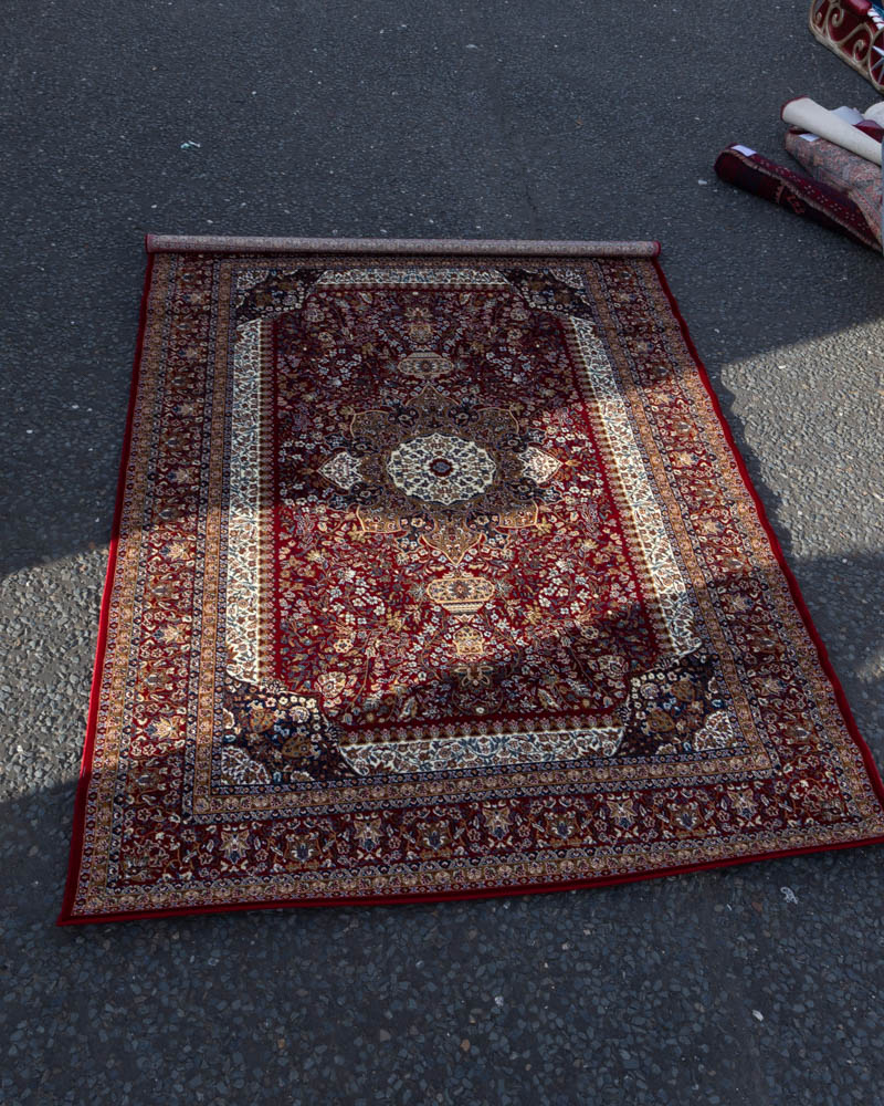 Persian Style Patterned Rug with Fringed Border – ZZ02