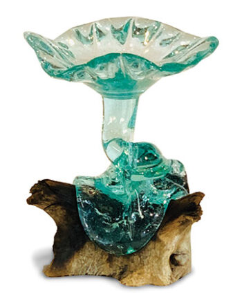 Naturale Glass Bowl Sweet Dish on Driftwood Base Ornament