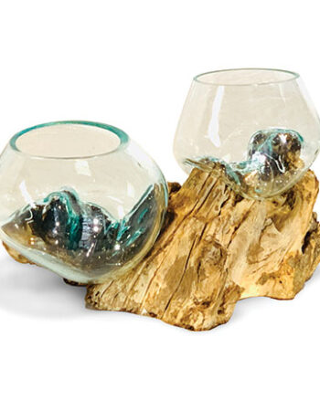 Naturale Wood Root Sculpture with Two Glass Vases