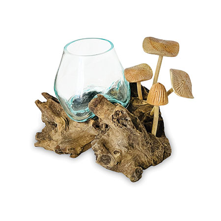 Naturale Root With Mushrooms and Glass Bowl (Small)