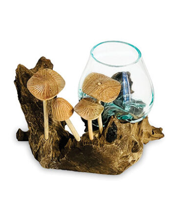Naturale Root With Mushrooms and Glass Bowl (Small)