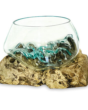 Naturale Glass Bowl on Driftwood Base Centrepiece (Small)