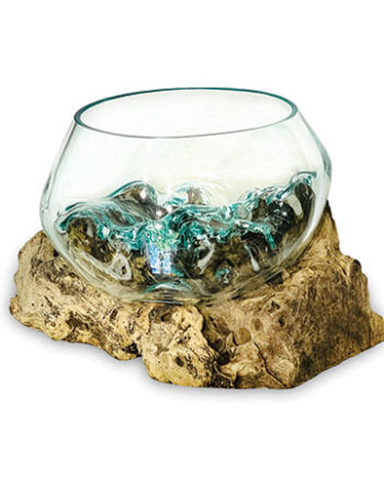 Naturale Glass Bowl on Driftwood Base Centrepiece (Small)