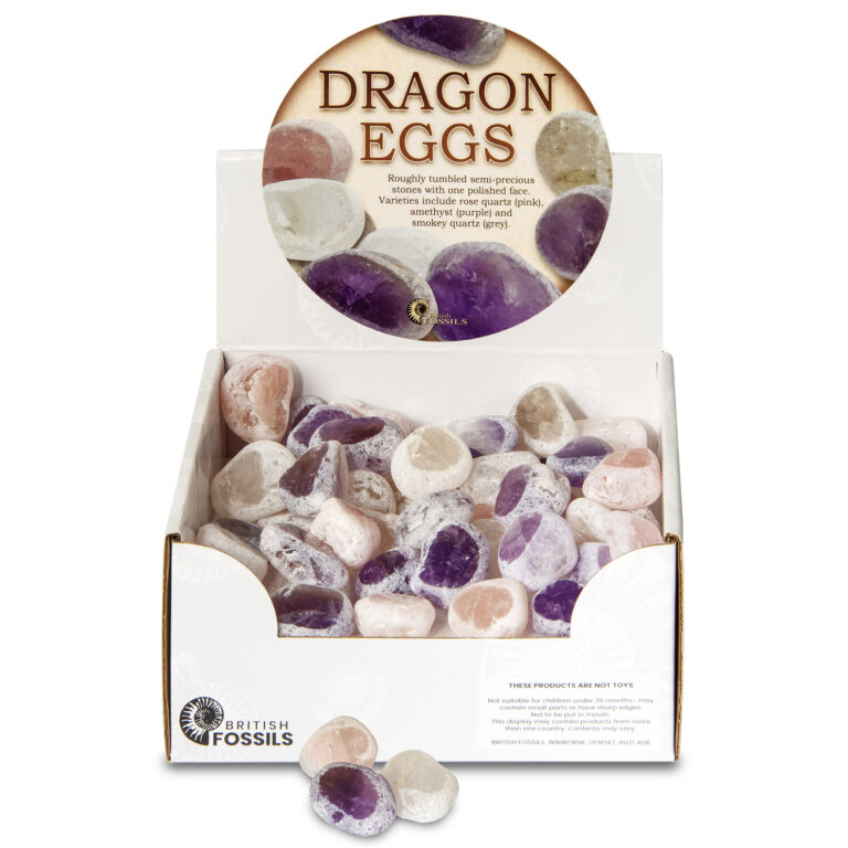 Fossils Polished Semi-Precious Stones 'Dragon Eggs'