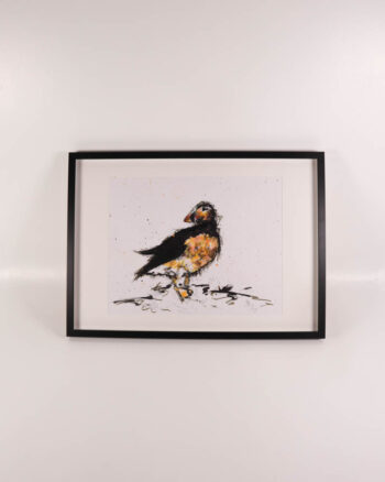 ‘Sandy’ Framed Puffin Painting by Kate Broderick