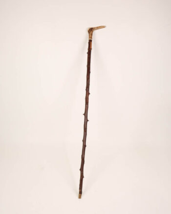 Antique Stag Horn Walking Stick with Branch Detail