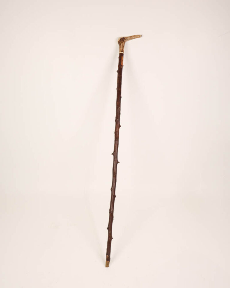 Antique Stag Horn Walking Stick with Branch Detail