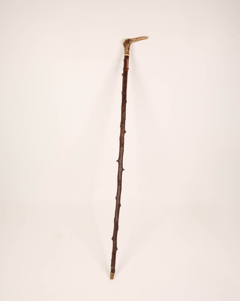 Antique Stag Horn Walking Stick with Branch Detail