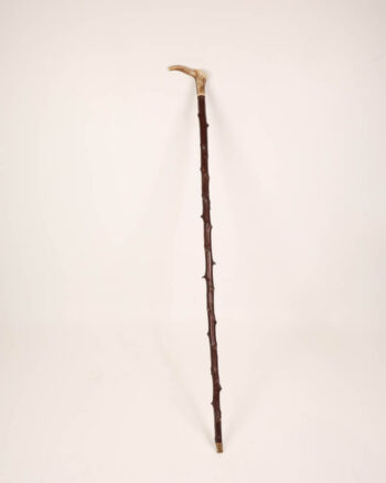 Antique Stag Horn Walking Stick with Branch Detail