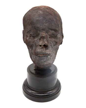 Ancient Egyptian Mummy Head (circa 775BC)