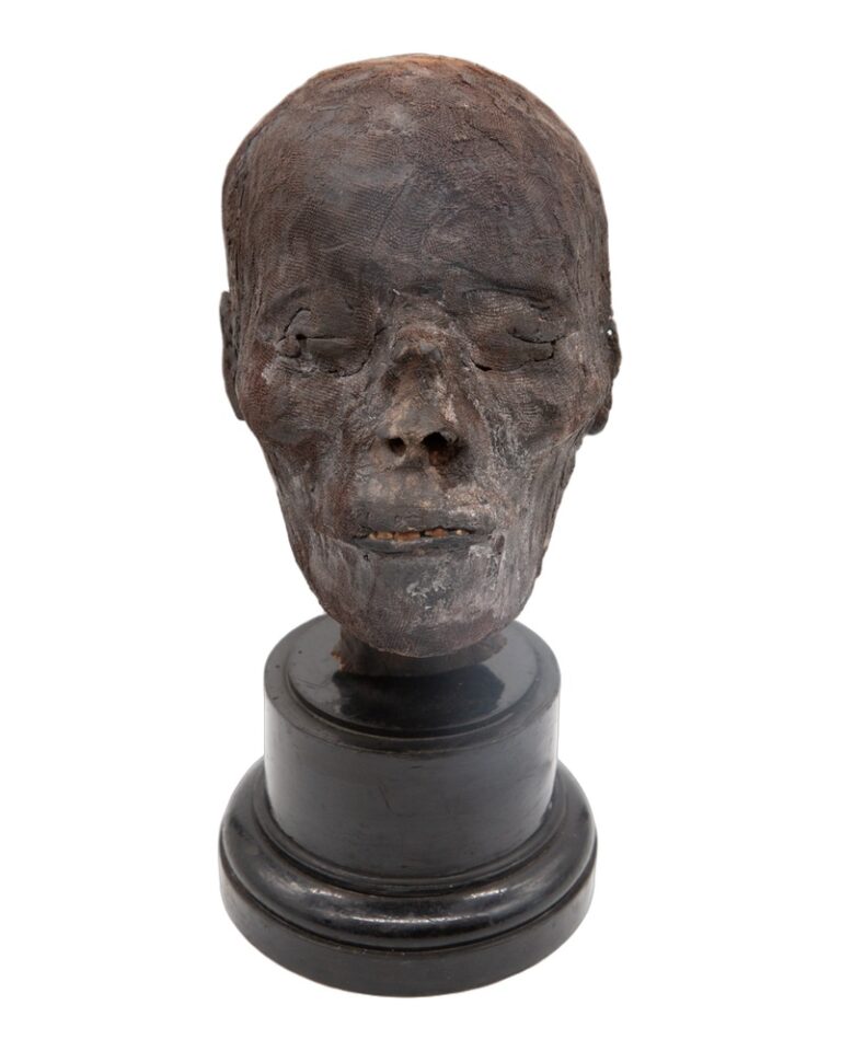 Ancient Egyptian Mummy Head (circa 775BC)